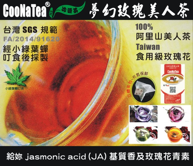 coonatea-zh_tw-pchome-ç«ç°ç¾äººè¶-001-1000.png