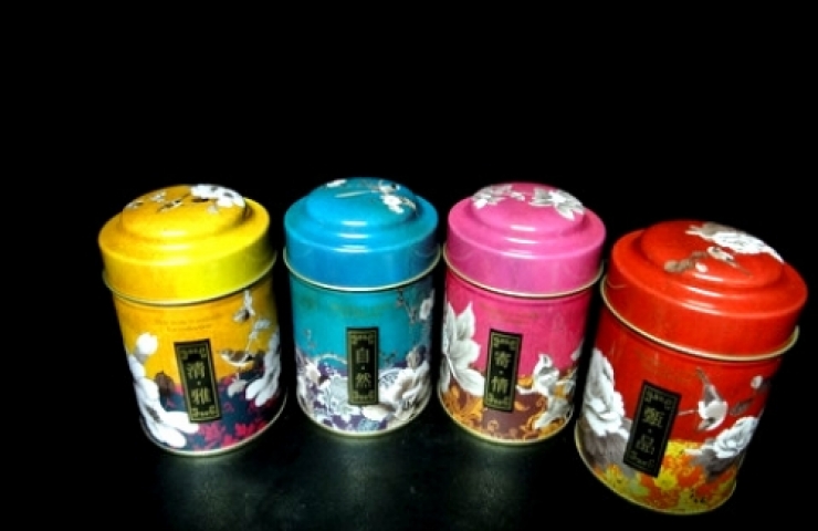  阿里山茶旅行組