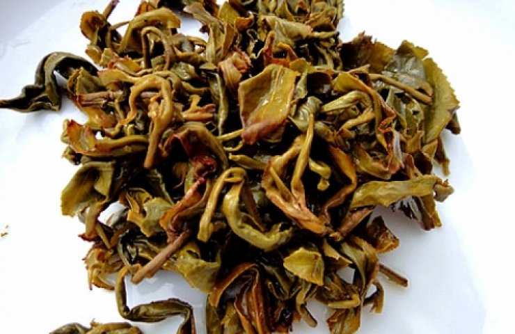 CooNaTea 阿里山茶蜜茶(CNT-2071小綠葉蟬大咬之葉底 )