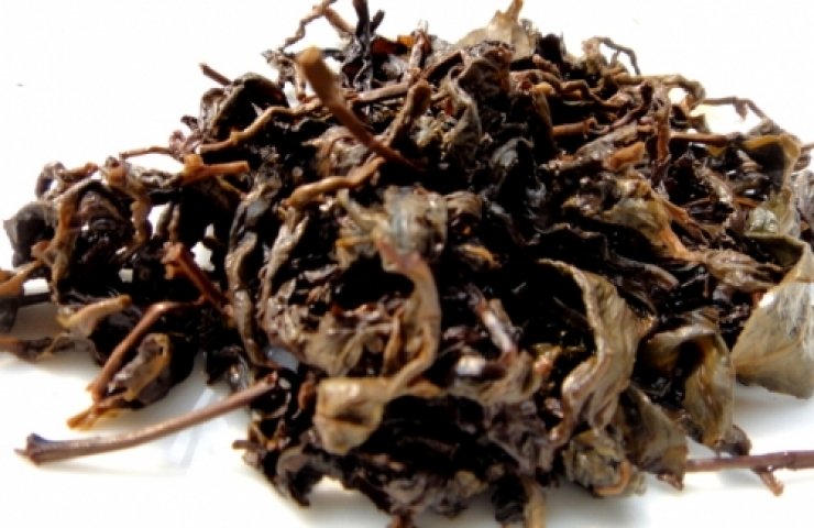 CooNatea 2001阿里山老茶 